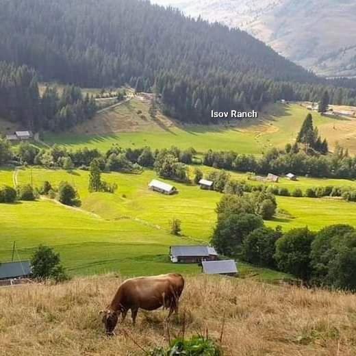 Isov Ranch Villa พลาฟ ภายนอก รูปภาพ