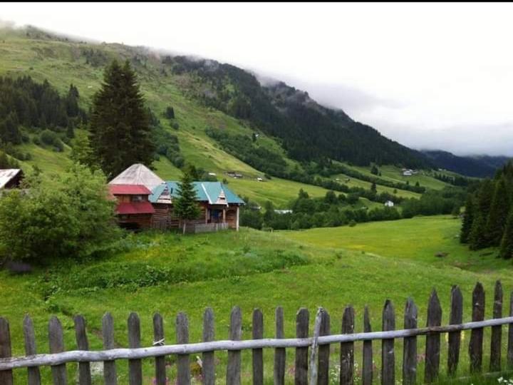 Isov Ranch Villa พลาฟ ภายนอก รูปภาพ