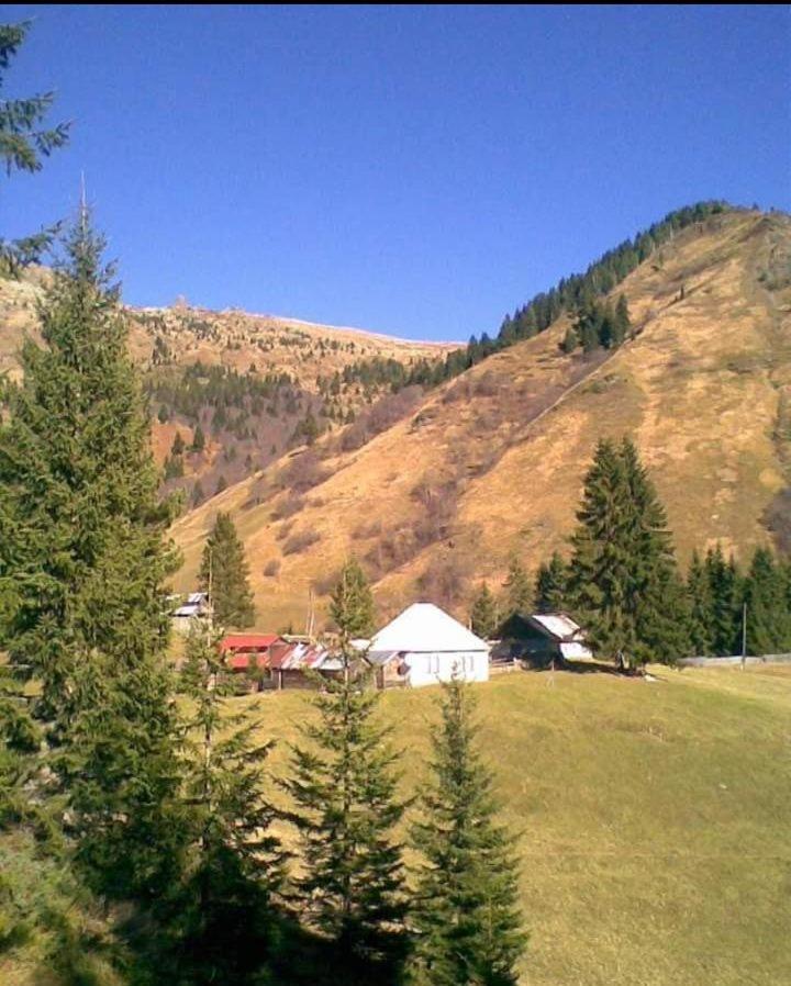 Isov Ranch Villa พลาฟ ภายนอก รูปภาพ
